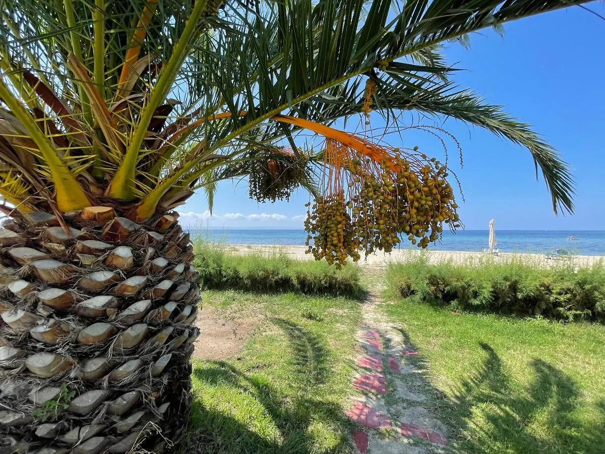 5-Guest Villa In Halkidiki Metokhion Konstamonitou 0*,